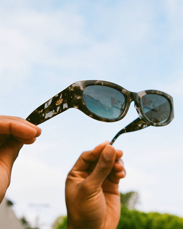 The Funk Punk / Desert Tortoise Bio & Polarised Smoke Gradient Lens - Shade Files